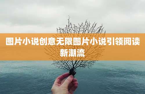 图片小说创意无限图片小说引领阅读新潮流