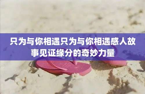只为与你相遇只为与你相遇感人故事见证缘分的奇妙力量