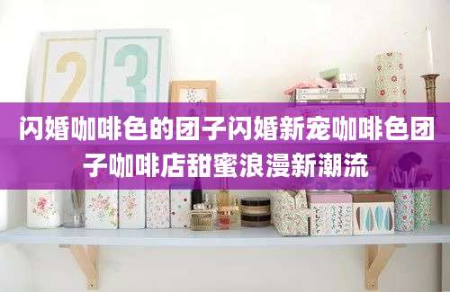 闪婚咖啡色的团子闪婚新宠咖啡色团子咖啡店甜蜜浪漫新潮流