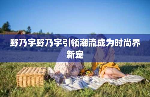 野乃宇野乃宇引领潮流成为时尚界新宠