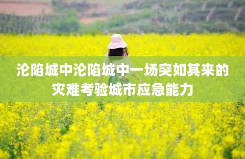 沦陷城中沦陷城中一场突如其来的灾难考验城市应急能力