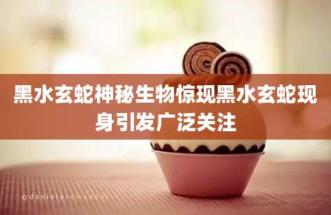 黑水玄蛇神秘生物惊现黑水玄蛇现身引发广泛关注