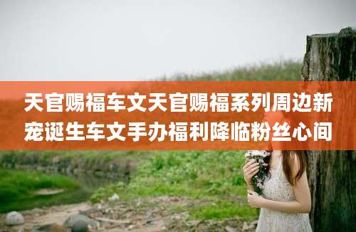 天官赐福车文天官赐福系列周边新宠诞生车文手办福利降临粉丝心间