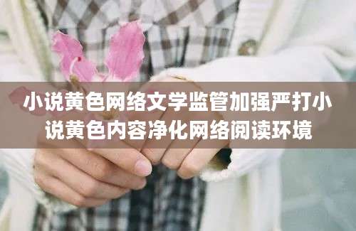 小说黄色网络文学监管加强严打小说黄色内容净化网络阅读环境