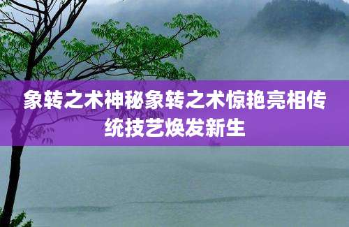 象转之术神秘象转之术惊艳亮相传统技艺焕发新生
