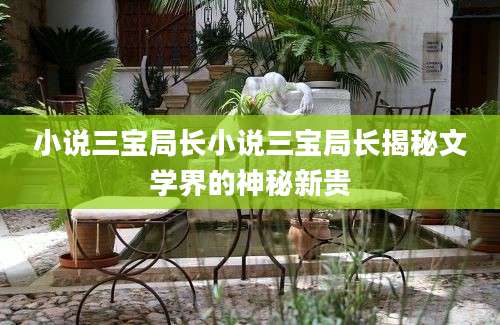 小说三宝局长小说三宝局长揭秘文学界的神秘新贵