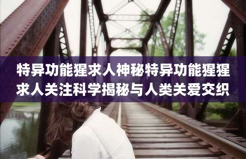 特异功能猩求人神秘特异功能猩猩求人关注科学揭秘与人类关爱交织