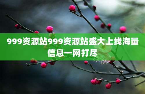 999资源站999资源站盛大上线海量信息一网打尽
