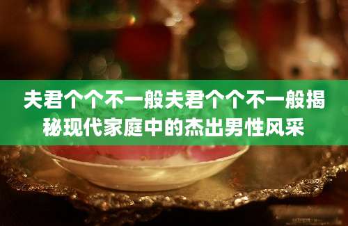 夫君个个不一般夫君个个不一般揭秘现代家庭中的杰出男性风采