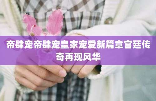 帝肆宠帝肆宠皇家宠爱新篇章宫廷传奇再现风华