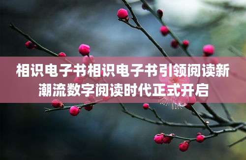 相识电子书相识电子书引领阅读新潮流数字阅读时代正式开启