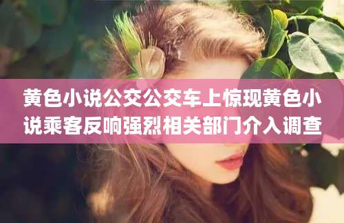 黄色小说公交公交车上惊现黄色小说乘客反响强烈相关部门介入调查