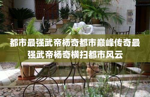 都市最强武帝杨奇都市巅峰传奇最强武帝杨奇横扫都市风云