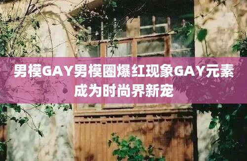 男模GAY男模圈爆红现象GAY元素成为时尚界新宠