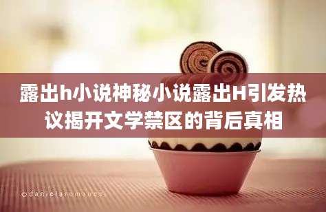 露出h小说神秘小说露出H引发热议揭开文学禁区的背后真相