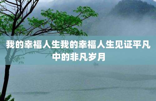 我的幸福人生我的幸福人生见证平凡中的非凡岁月