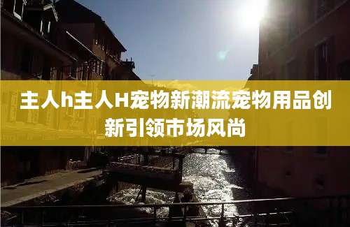 主人h主人H宠物新潮流宠物用品创新引领市场风尚