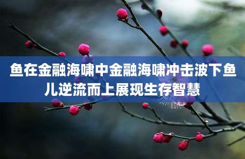 鱼在金融海啸中金融海啸冲击波下鱼儿逆流而上展现生存智慧