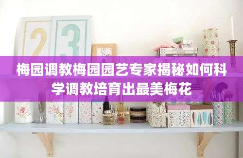 梅园调教梅园园艺专家揭秘如何科学调教培育出最美梅花