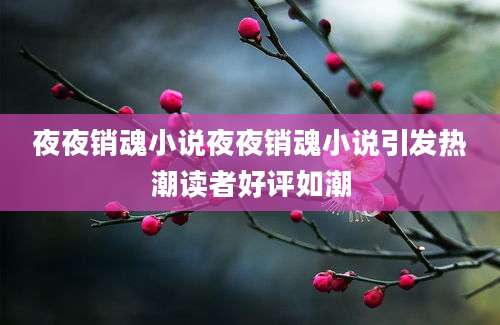 夜夜销魂小说夜夜销魂小说引发热潮读者好评如潮