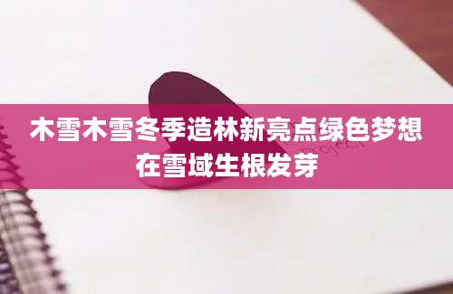 木雪木雪冬季造林新亮点绿色梦想在雪域生根发芽