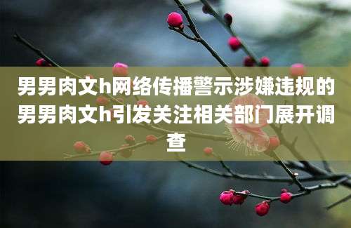 男男肉文h网络传播警示涉嫌违规的男男肉文h引发关注相关部门展开调查