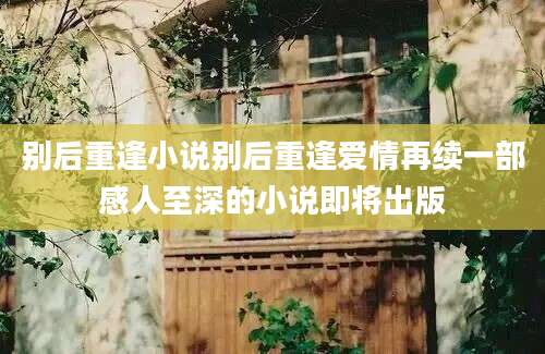 别后重逢小说别后重逢爱情再续一部感人至深的小说即将出版