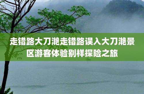 走错路大刀滟走错路误入大刀滟景区游客体验别样探险之旅