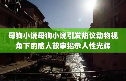 母狗小说母狗小说引发热议动物视角下的感人故事揭示人性光辉