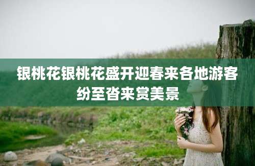 银桃花银桃花盛开迎春来各地游客纷至沓来赏美景