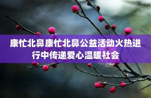 康忙北鼻康忙北鼻公益活动火热进行中传递爱心温暖社会
