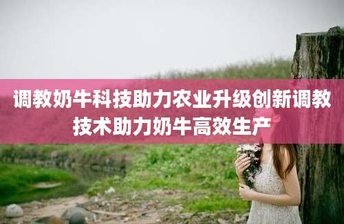 调教奶牛科技助力农业升级创新调教技术助力奶牛高效生产