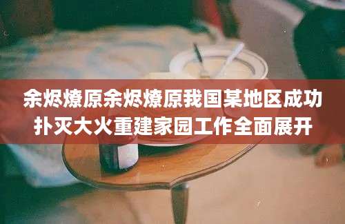 余烬燎原余烬燎原我国某地区成功扑灭大火重建家园工作全面展开