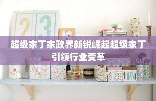超级家丁家政界新锐崛起超级家丁引领行业变革