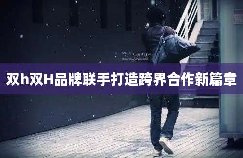 双h双H品牌联手打造跨界合作新篇章