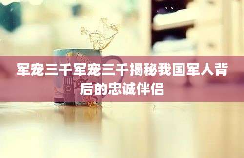 军宠三千军宠三千揭秘我国军人背后的忠诚伴侣
