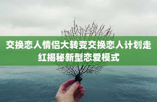 交换恋人情侣大转变交换恋人计划走红揭秘新型恋爱模式