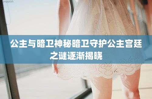 公主与暗卫神秘暗卫守护公主宫廷之谜逐渐揭晓