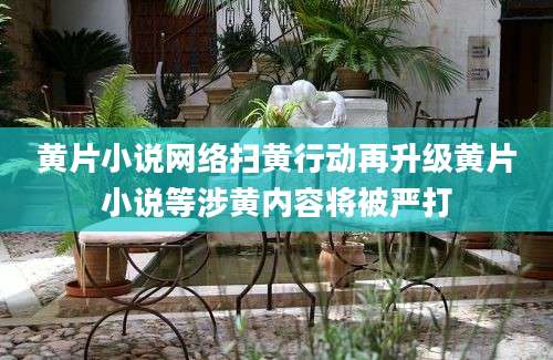 黄片小说网络扫黄行动再升级黄片小说等涉黄内容将被严打