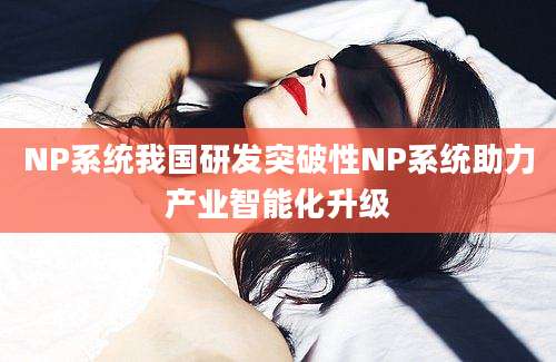 NP系统我国研发突破性NP系统助力产业智能化升级