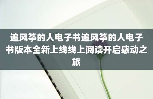 追风筝的人电子书追风筝的人电子书版本全新上线线上阅读开启感动之旅