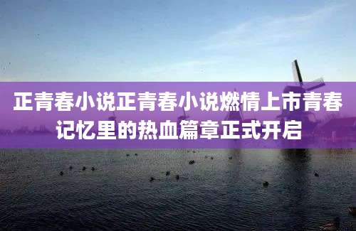 正青春小说正青春小说燃情上市青春记忆里的热血篇章正式开启