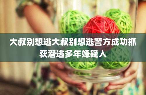 大叔别想逃大叔别想逃警方成功抓获潜逃多年嫌疑人