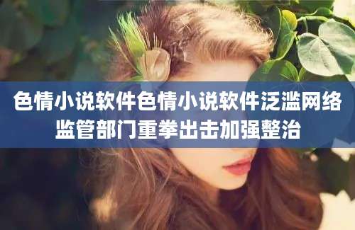 色情小说软件色情小说软件泛滥网络监管部门重拳出击加强整治