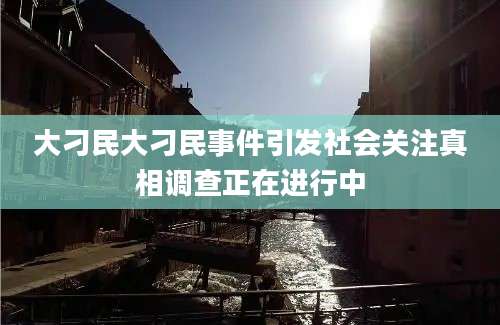 大刁民大刁民事件引发社会关注真相调查正在进行中
