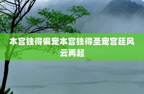 本宫独得偏宠本宫独得圣宠宫廷风云再起