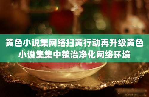 黄色小说集网络扫黄行动再升级黄色小说集集中整治净化网络环境