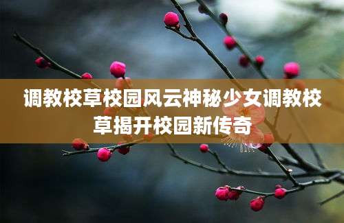 调教校草校园风云神秘少女调教校草揭开校园新传奇