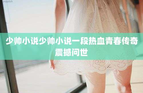 少帅小说少帅小说一段热血青春传奇震撼问世