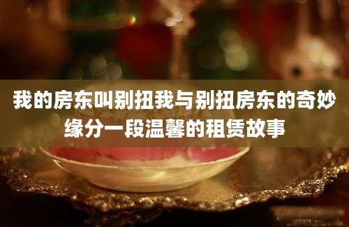 我的房东叫别扭我与别扭房东的奇妙缘分一段温馨的租赁故事